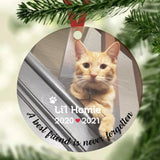 Custom Pet Memorial Ornament with Name and Oil Painting Look Photo Plush