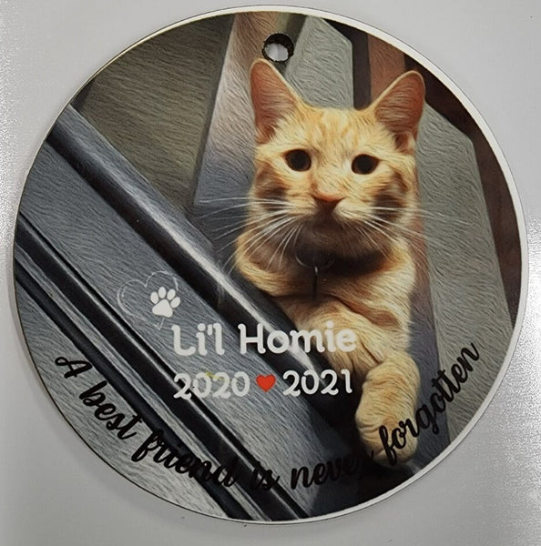 Custom Pet Memorial Ornament with Name and Oil Painting Look Photo Plush