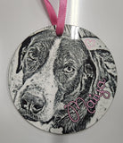 Custom Pet Ornament with Name and Photo/Breed Plush